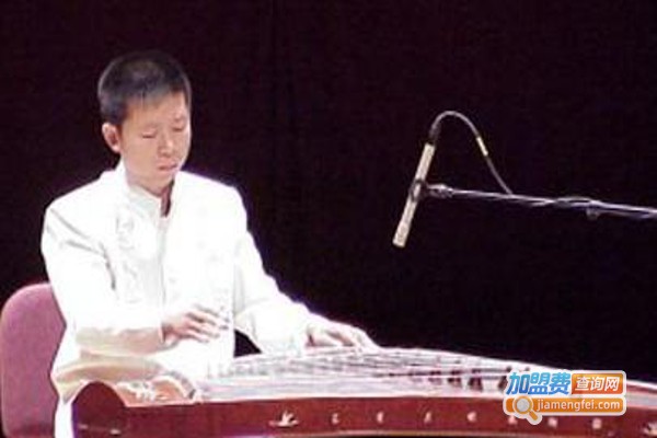 张彤古筝加盟费