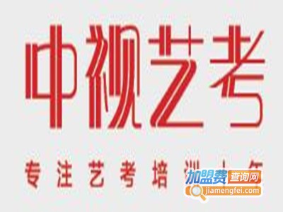 中视艺考加盟费