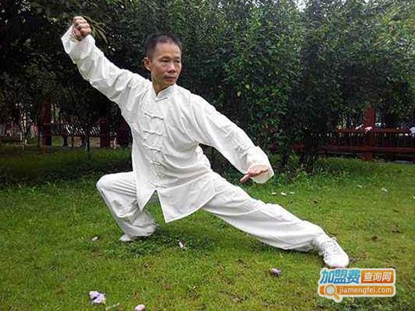 腾挪太极培训加盟费