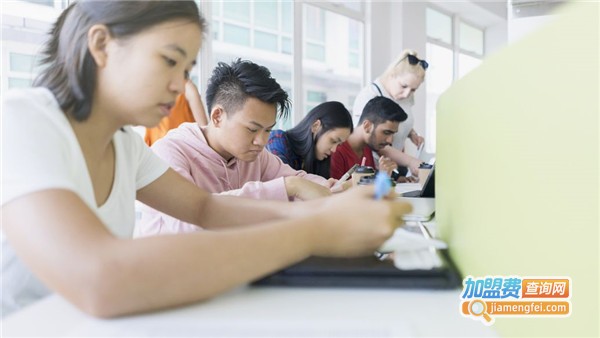 Gotocode少儿编程加盟费