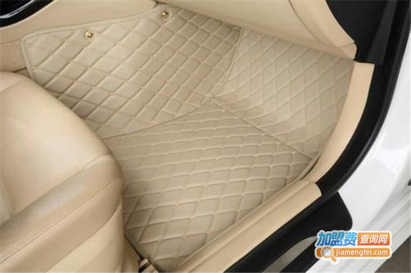 亚洲象汽车脚垫