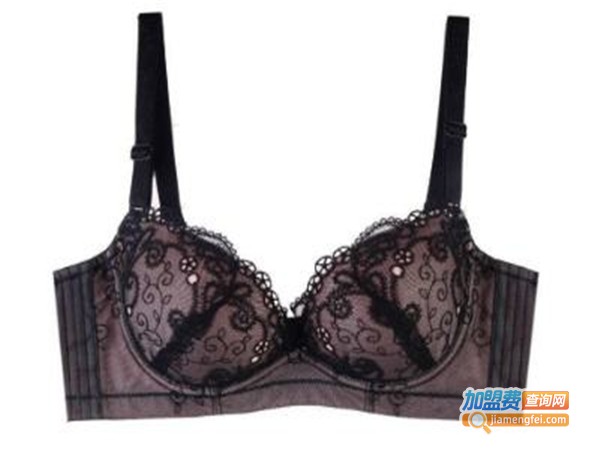 佳莱频谱内衣加盟费