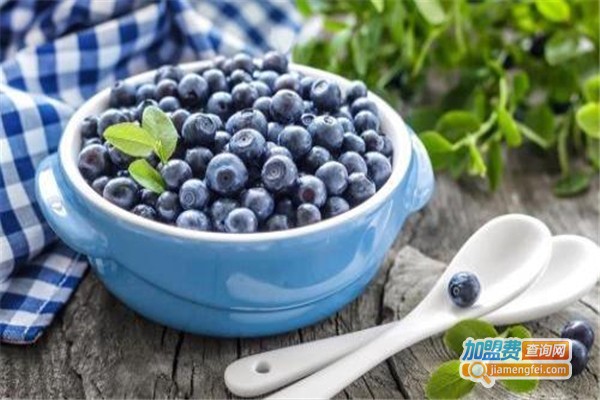 蓝莓可可加盟费