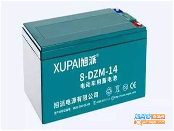 旭派电瓶