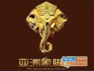 亚洲象汽车脚垫加盟