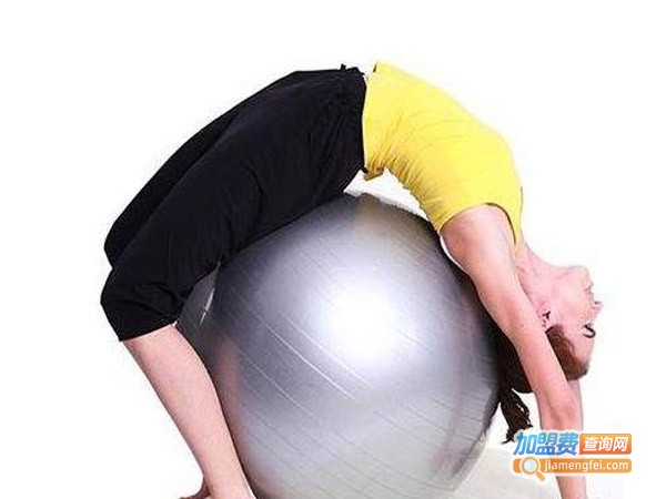 艾丽菲儿瘦身美容加盟费