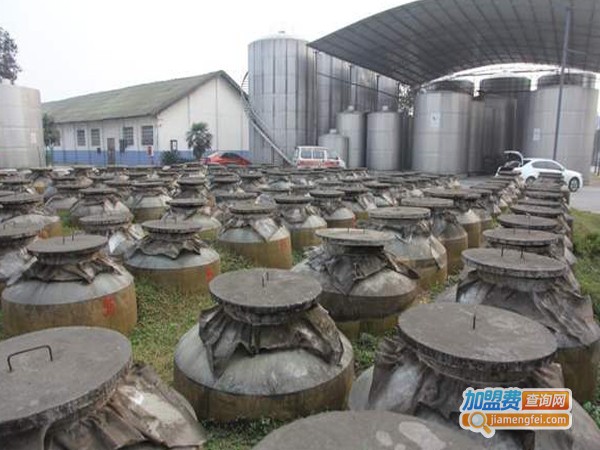 谷养康纯酿酒加盟费