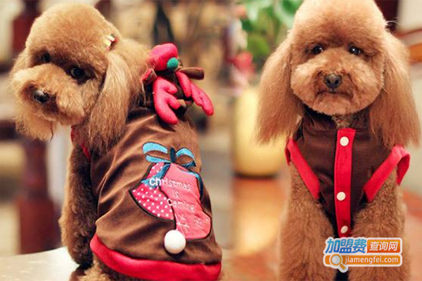 上美宠艺宠物培训加盟门店