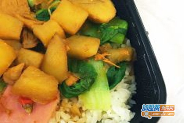 吾匠红烧浇汁饭