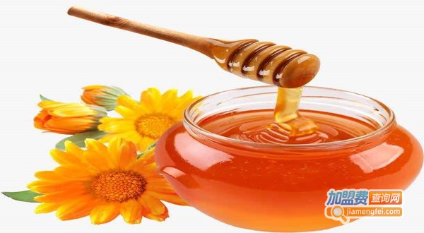 小牛蜂蜜加盟费