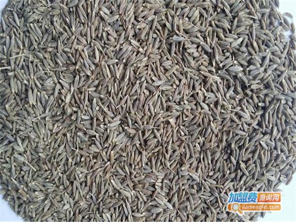 Shaheen美食加盟费