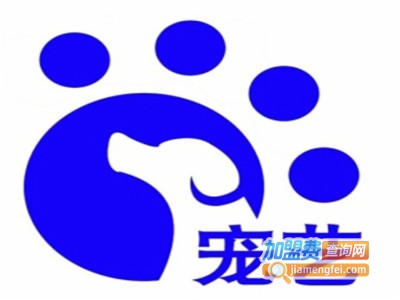 上美宠艺宠物培训