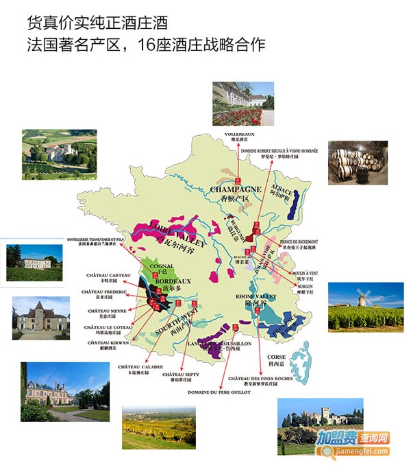 法国之光葡萄酒加盟费