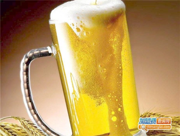 吉普啤酒加盟费