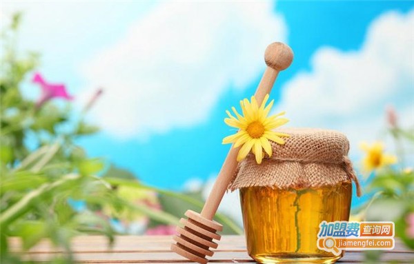 蒙山蜂人蜂蜜加盟费