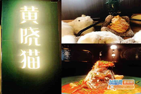 黄晓猫剁椒大鱼头加盟门店