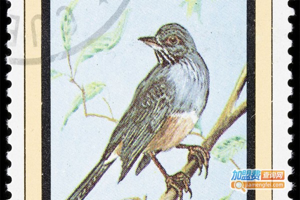 文娜壁画加盟费