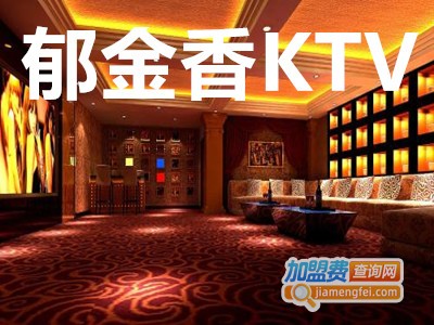 郁金香KTV加盟费