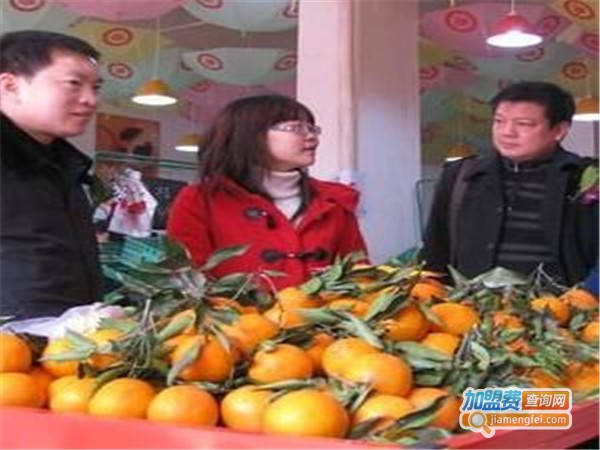 果味人生加盟费