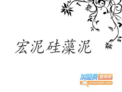 宏泥硅藻泥加盟费