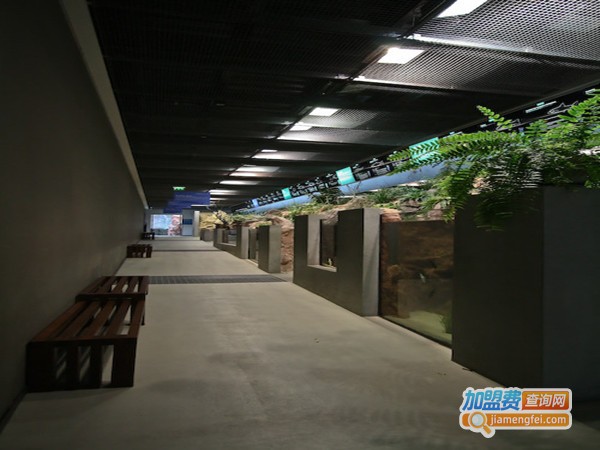 麦司琪吊顶加盟门店