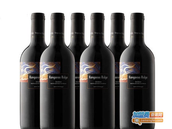 圣皮尔良品酒业加盟费