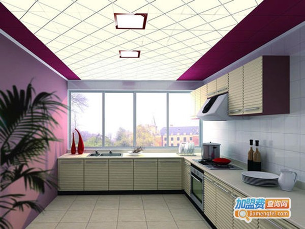 特丽达吊顶加盟门店