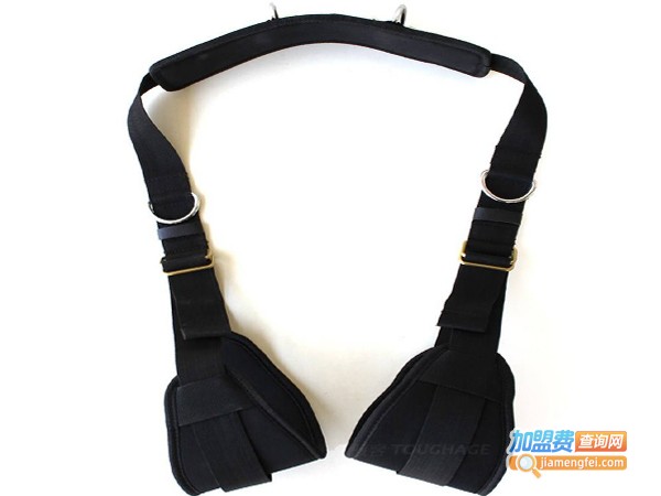 威智德成人玩具加盟费