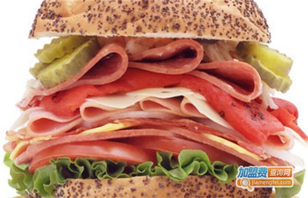 麦乐堡汉堡店加盟费