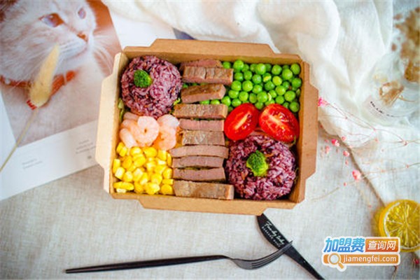 龙猫沙拉加盟费