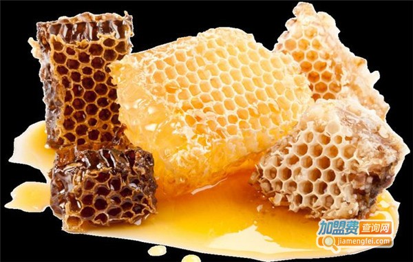 蒙山蜂人蜂蜜加盟费