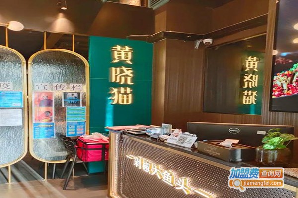 黄晓猫剁椒大鱼头加盟门店