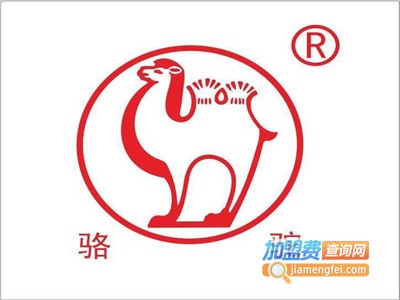 骆驼电瓶