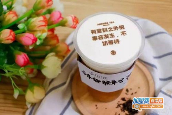 520占卜茶加盟费