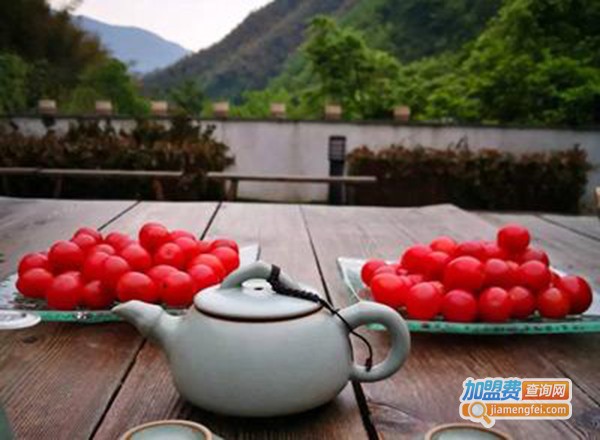 天香园大排档加盟费