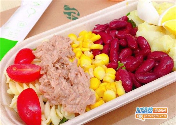 意树沙拉加盟费