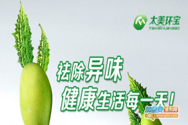 太美环宝空气净化加盟费