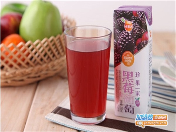 卡依之果汁加盟费