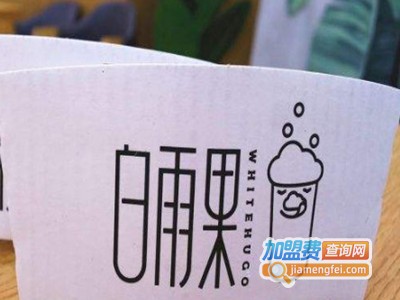 白雨果whitehugo加盟费