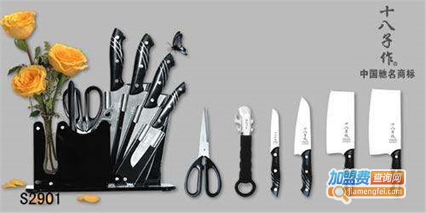 阳江十八子加盟费