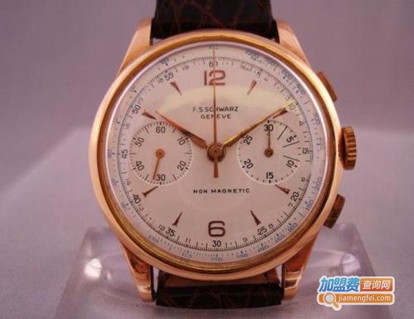 施华艾登加盟费