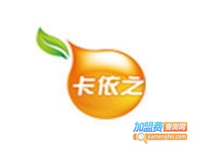 卡依之果汁加盟费