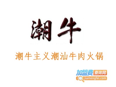 潮牛主义潮汕牛肉火锅