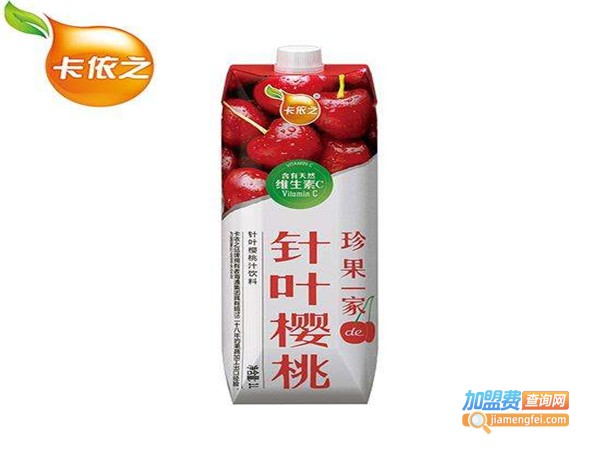 卡依之果汁加盟费