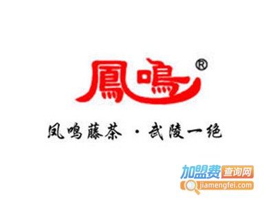 凤鸣藤茶加盟费