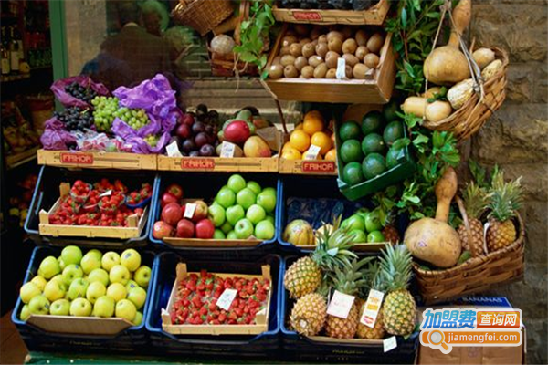 阿尔法水果店加盟费