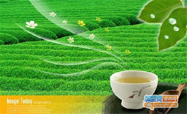 百鸟峥茗茶业加盟费