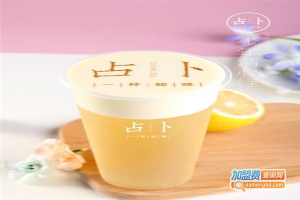 520占卜茶加盟费