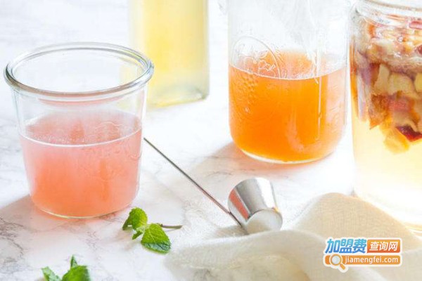 酵素村保健饮品加盟费