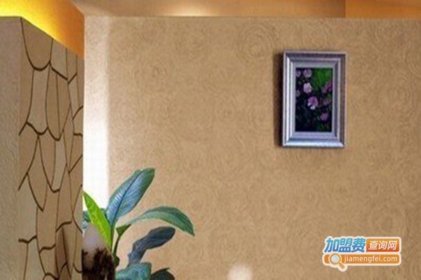 地球家园硅藻泥加盟门店